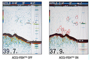 furuno FCV-588 Accu-Fish